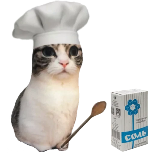 🐈 Стикер «Komaru» для Telegram