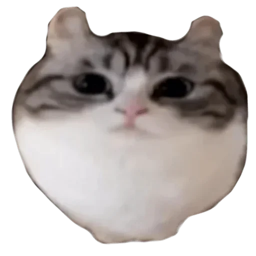 🌟 Стикер «Komaru» для Telegram