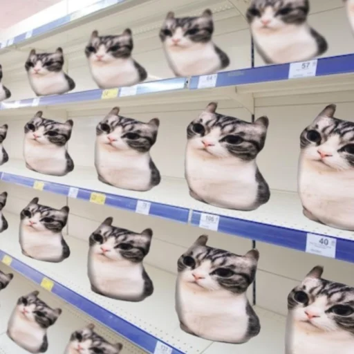 🐈 Стикер «Komaru» для Telegram