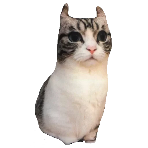 🐈 Стикер «Komaru» для Telegram