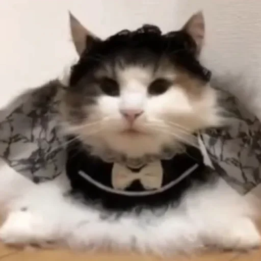 🎀 Стикер «Komaru» для Telegram