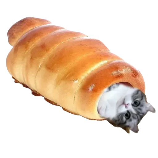 🐈 Стикер «Komaru» для Telegram