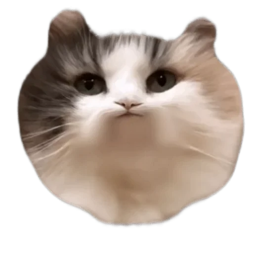 🌟 Стикер «Komaru» для Telegram