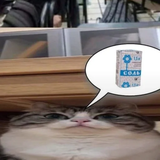 🐈 Стикер «Komaru» для Telegram