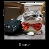 🤩 Эмодзи «» для Telegram