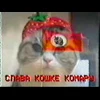 🤩 Эмодзи «» для Telegram