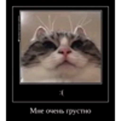 🤩 Эмодзи «» для Telegram