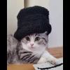 🌟 Эмодзи «» для Telegram