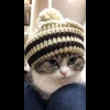 🌟 Эмодзи «» для Telegram