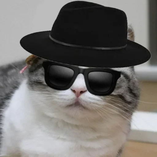 😎 Стикер «Komaru» для Telegram