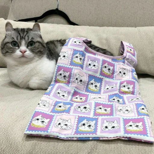 🛌 Стикер «Komaru» для Telegram