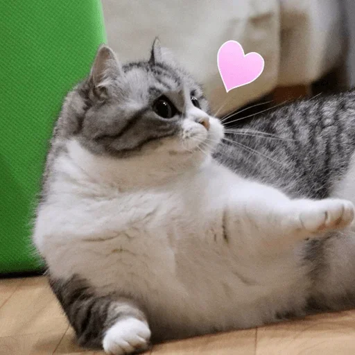 💋 Стикер «Komaru» для Telegram