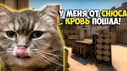 🩸 Стикер «Komaru Rofls» для Telegram