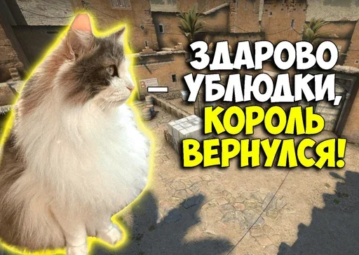😎 Стикер «Komaru Rofls» для Telegram