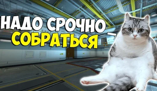 🤐 Стикер «Komaru Rofls» для Telegram