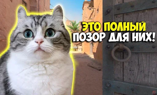 🤣 Стикер «Komaru Rofls» для Telegram