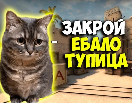 😡 Стикер «Komaru Rofls» для Telegram