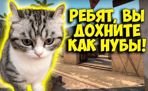 😒 Стикер «Komaru Rofls» для Telegram