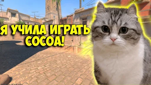 🤯 Стикер «Komaru Rofls» для Telegram