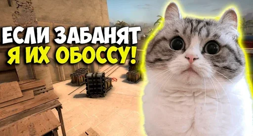 🤣 Стикер «Komaru Rofls» для Telegram