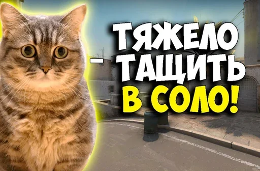 😣 Стикер «Komaru Rofls» для Telegram