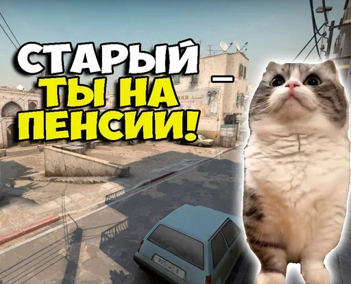 👨‍🦳 Стикер «Komaru Rofls» для Telegram
