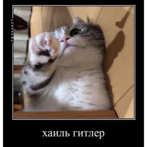 🤿 Стикер «KomaruBest» для Telegram
