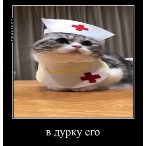🤿 Стикер «KomaruBest» для Telegram