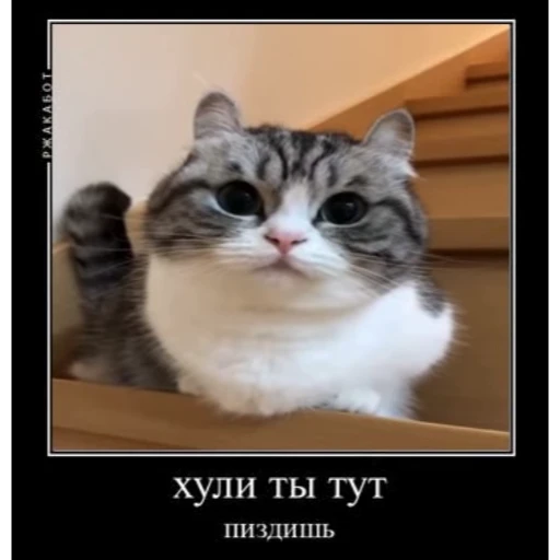 Стикерпак KomaruBest для Telegram