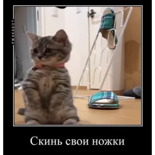 🤿 Стикер «KomaruBest» для Telegram