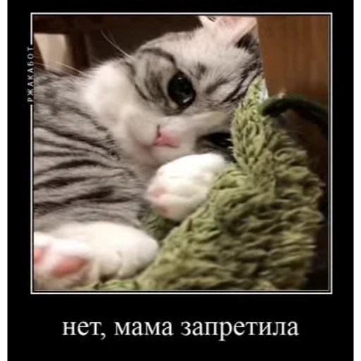 🤿 Стикер «KomaruBest» для Telegram