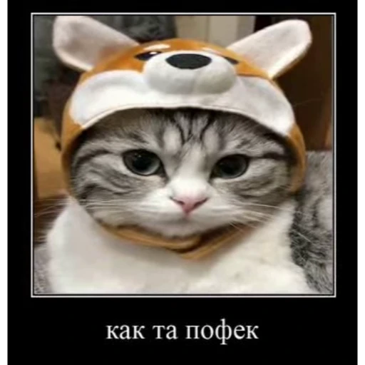 🤿 Стикер «KomaruBest» для Telegram
