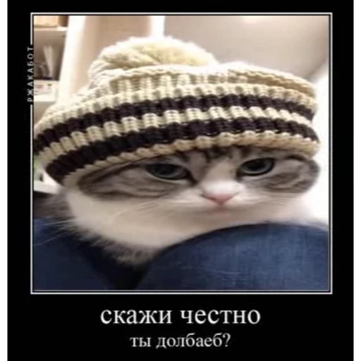 🤿 Стикер «KomaruBest» для Telegram