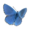 ❤️ Эмодзи «Голубой шрифт» для Telegram