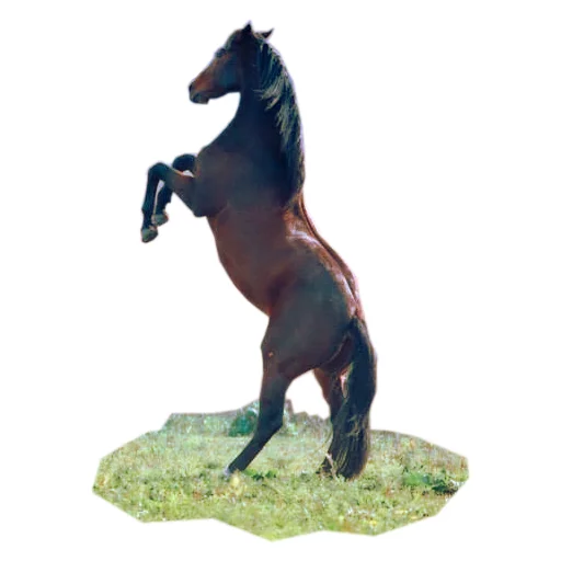 🦄 Стикер «Koniachki» для Telegram