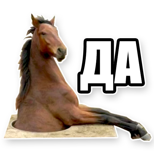 😏 Стикер «Кони» для Telegram