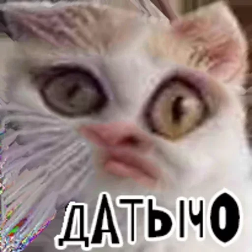 😏 Стикер «Конопеппе Стикеры» для Telegram
