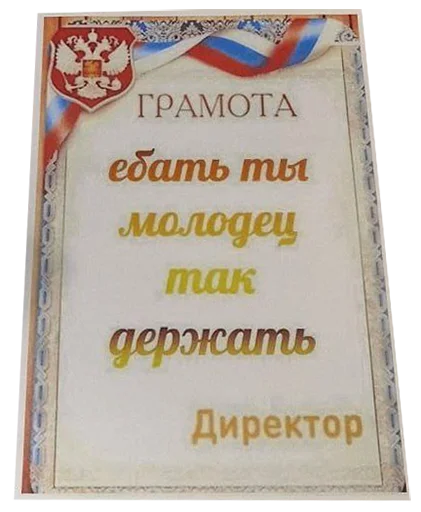 👍 Стикер «kontrmera / hackerman» для Telegram