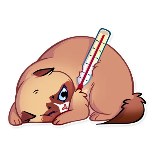 🤒 Стикер «Кooky Сat» для Telegram