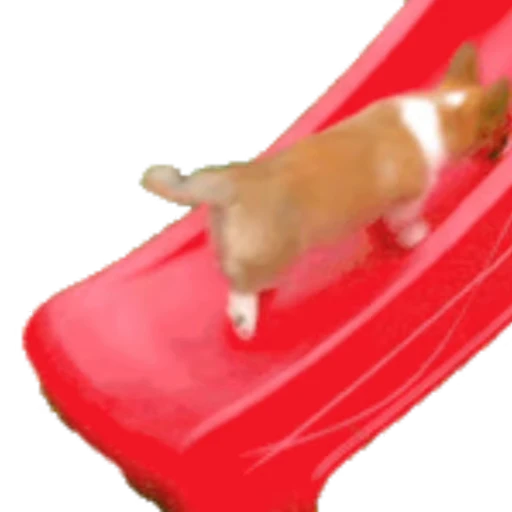 🐶 Стикер «Корги» для Telegram