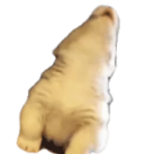 🐺 Стикер «Корги» для Telegram