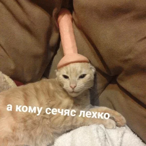 😞 Стикер «Коробка для Долбоебов» для Telegram