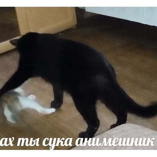 ☹️ Стикер «Коробка для Долбоебов» для Telegram
