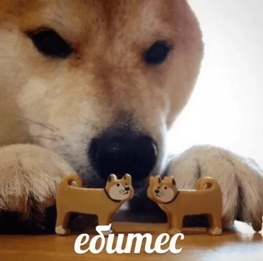 😛 Стикер «Коробка для Долбоебов» для Telegram