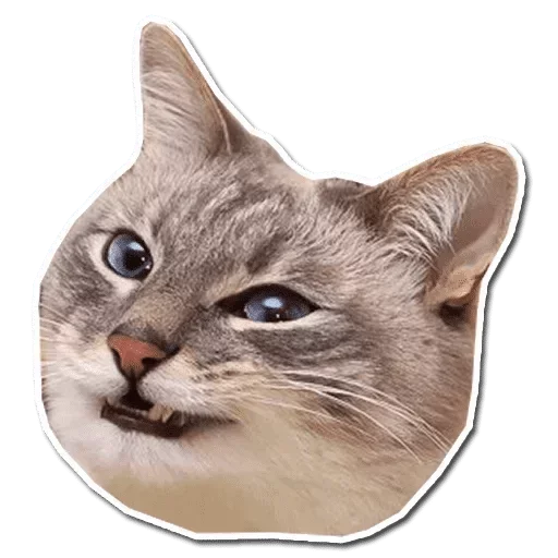 😒 Стикер «Коробка для Долбоебов» для Telegram