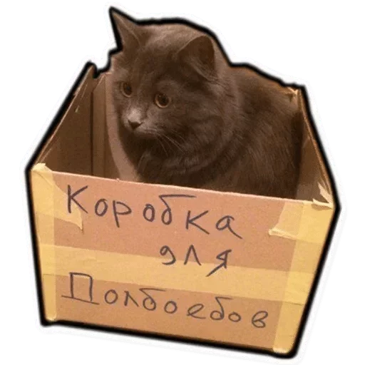 😤 Стикер «Коробка для Долбоебов» для Telegram