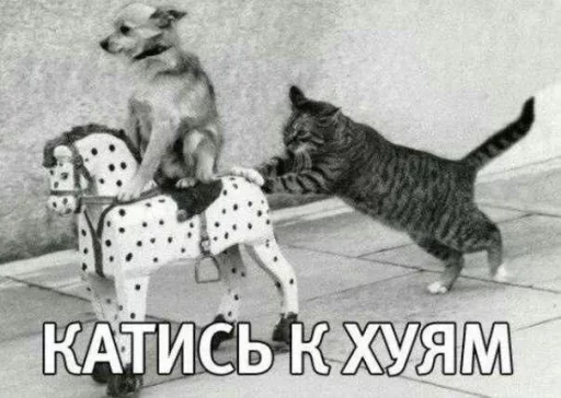 😛 Стикер «Коробка для Долбоебов» для Telegram