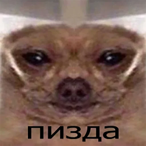 😖 Стикер «KorolevskiyMIX» для Telegram