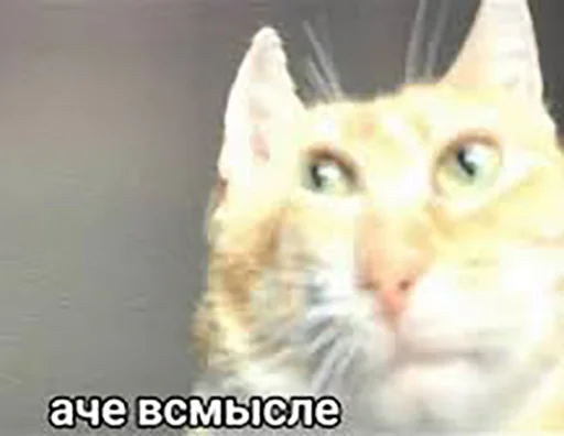 🤔 Стикер «KorolevskiyMIX» для Telegram