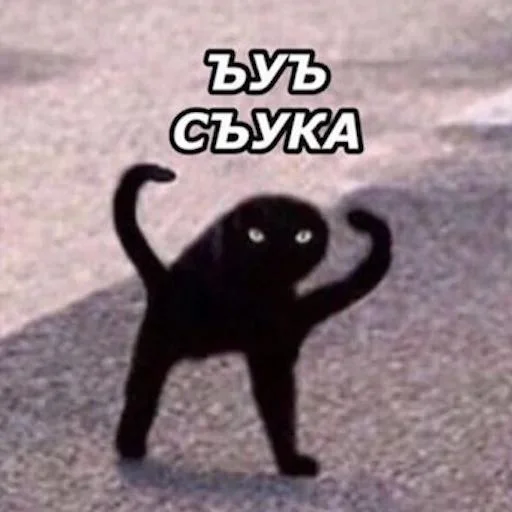 😠 Стикер «KorolevskiyMIX» для Telegram